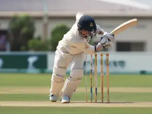 Cricketer&rsquo;s Ball Throw: Calculating Maximum Height